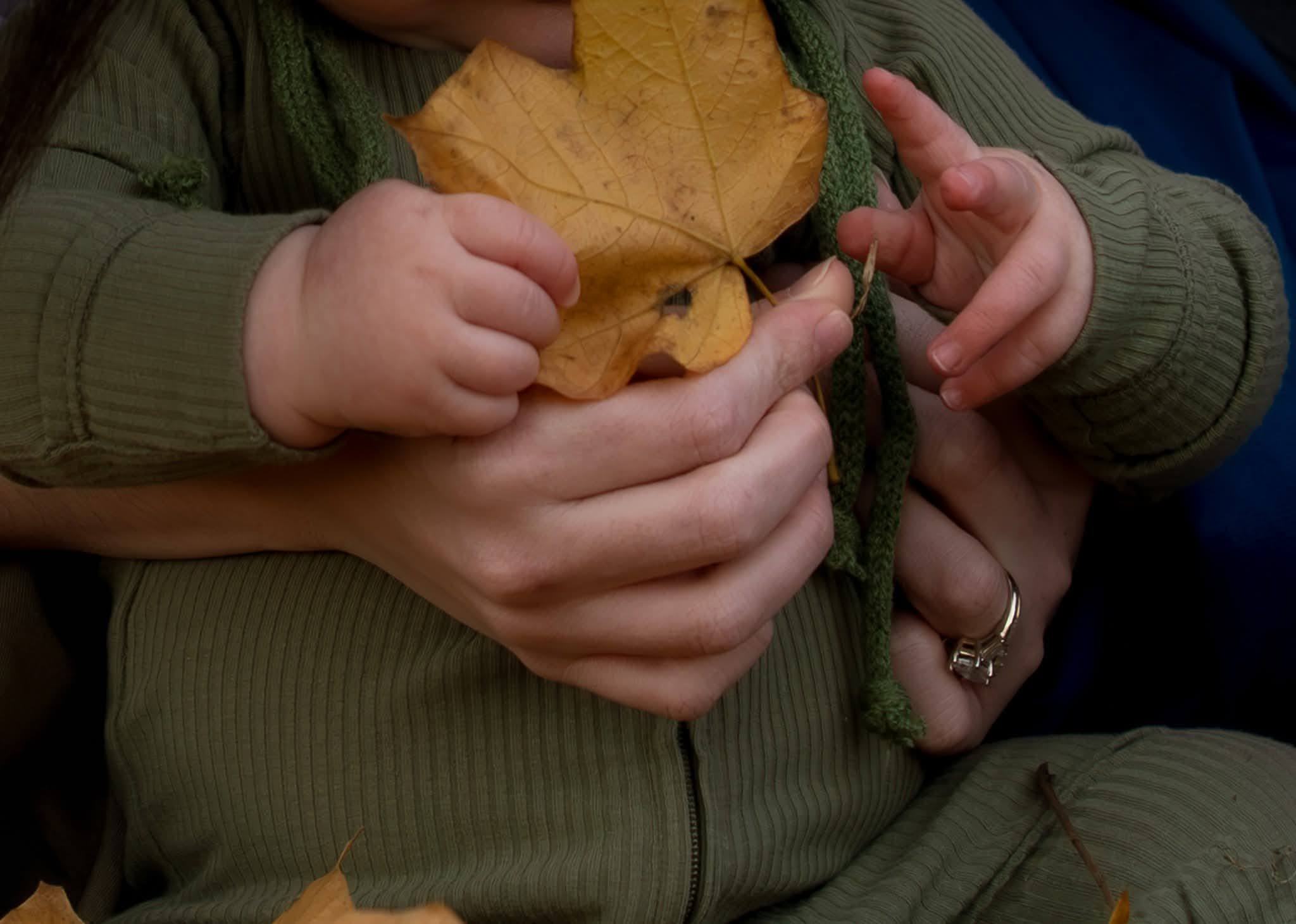 Two pairs of hands holding a single golden leaf
