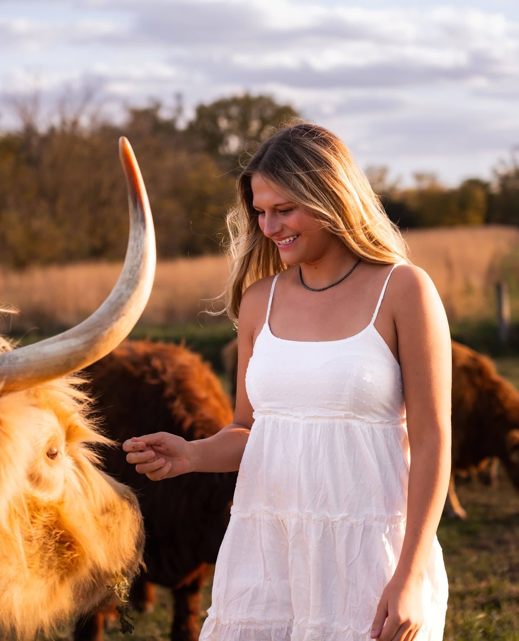 A senior in a white dress standing beside a highland cow